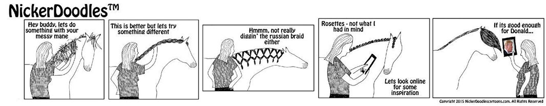 Horse Braid